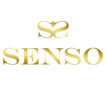 انجام پروژه senso توسط حبتور