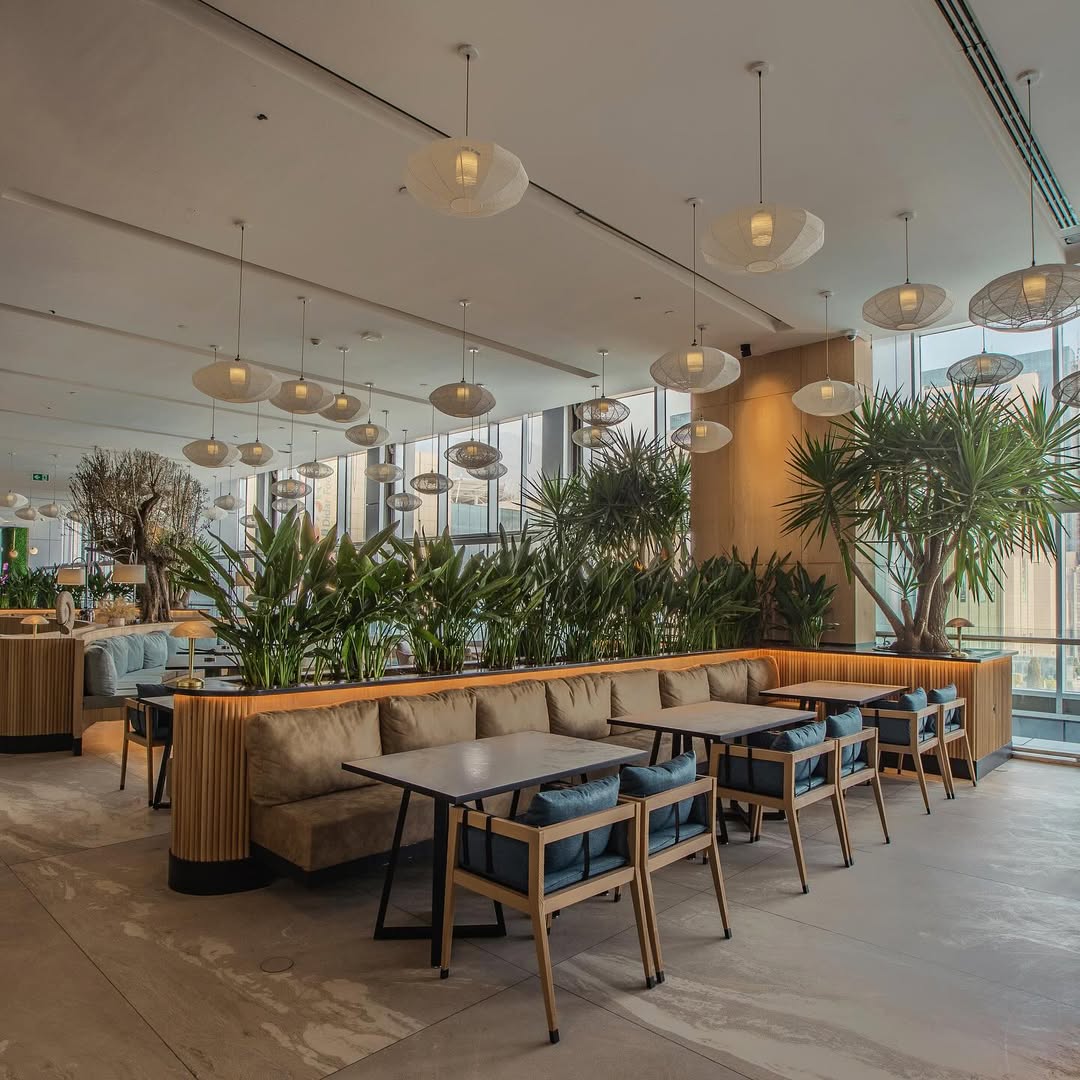 راه اندازی کافه لیبرو